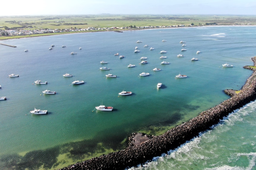 Drone shot of boats in the water with a breakwater and the shoreline in the distance.