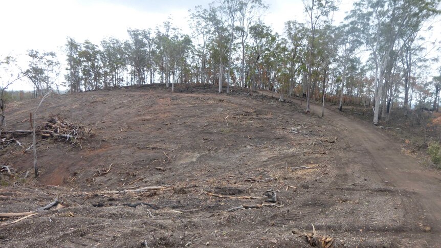 Road illegally bulldozed through grazing property near Monto, Queensland