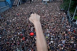 A first being thrust into the air is blurry against a sea of protesters below it.