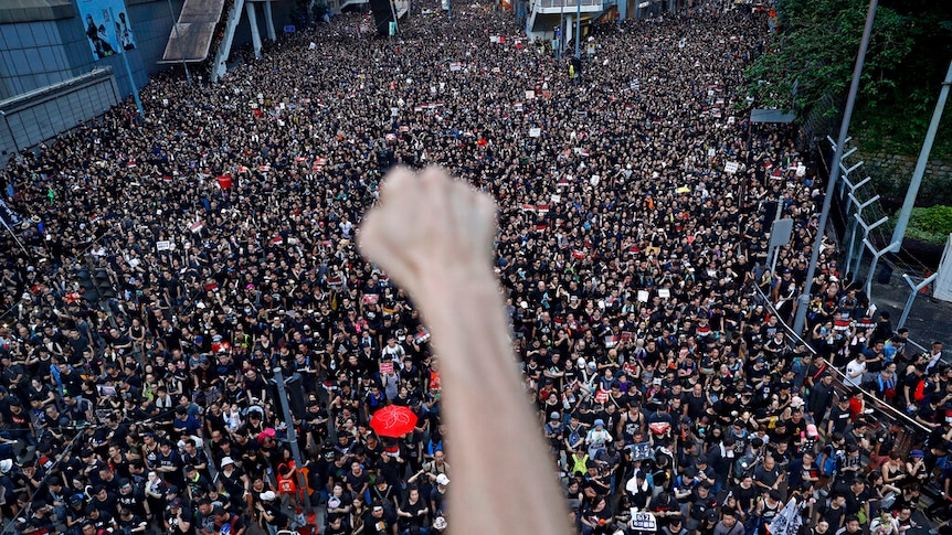 A first being thrust into the air is blurry against a sea of protesters below it.