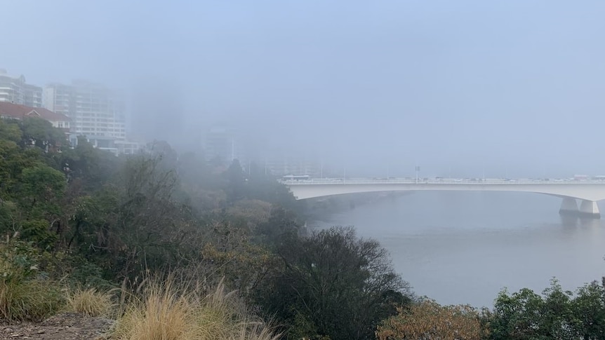 The Captain Cook Bridge on the Pacific Motorway lost in fog