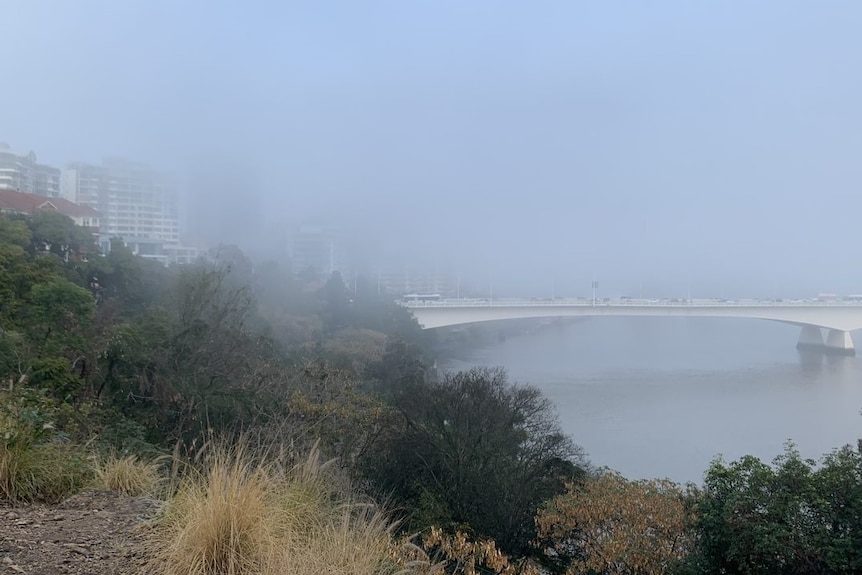 The Captain Cook Bridge on the Pacific Motorway lost in fog