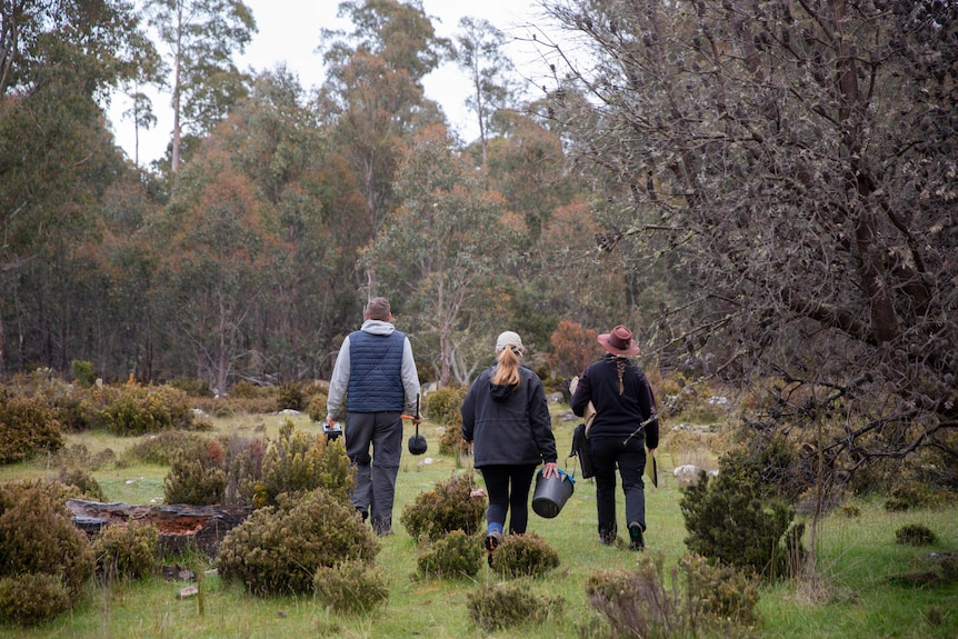 A man and two women walking in nature with their backs to the camera