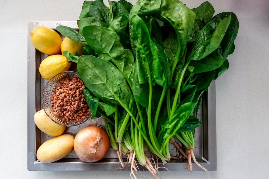 The ingredients for soup in a stainless steel tray: lentils, potatoes, onions, lemons and spinach.