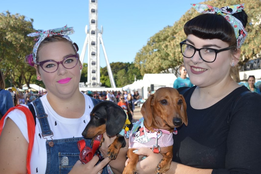 Sausage dogs at the Million Paws Walk