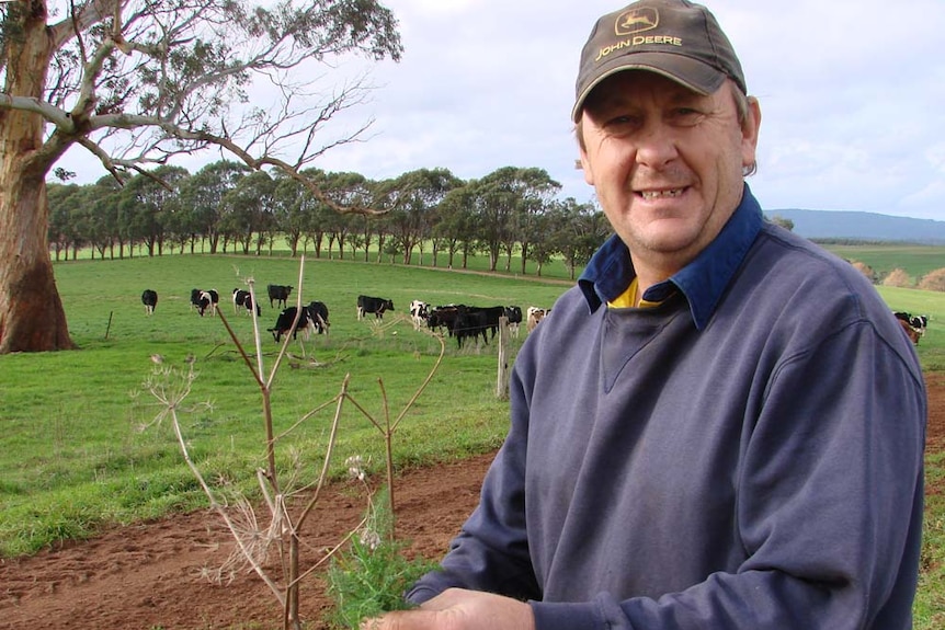 Winnaleah farmer, Frank Wagner and fennel crop