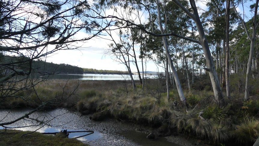 View to D'Entrecasteaux Channel.