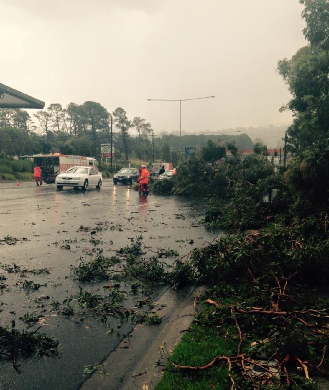Melbourne Storms Trees Down Buildings Damaged As Rain Wreaks Havoc On Roads Abc News