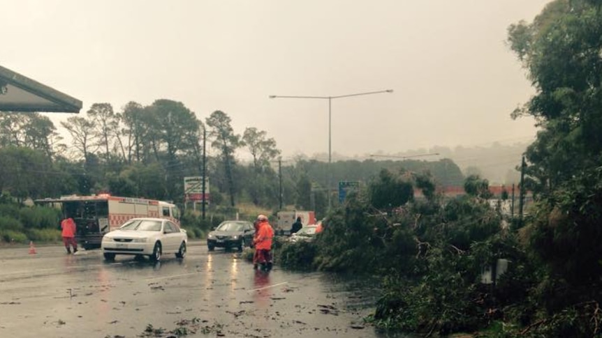 The SES attends to a fallen tree on Boronia Road, in Wantirna.