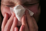 Queensland flu cases