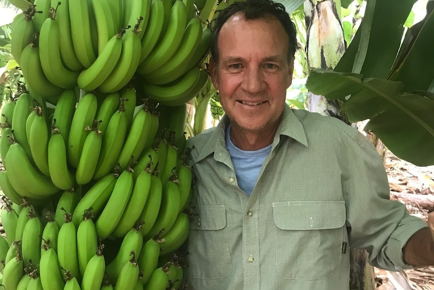 A man stands in a light green shirt smiling at the camera next to a bunch of bananas