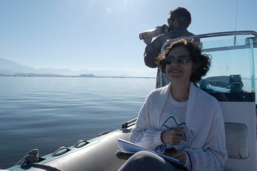 Researchers sit on a boat in a bay where they are observing Rio's grey dolphin population.