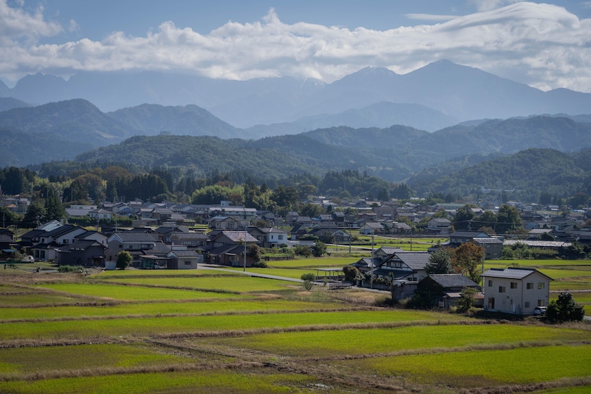 Houses dot a small village nestled into the side of a mountain.