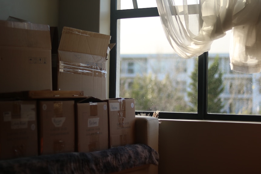 A pile of moving boxes next to a window.