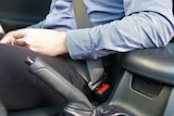 A photo showing only torso of a man in blue shirt, dark pants in a car wearing a seatbelt.