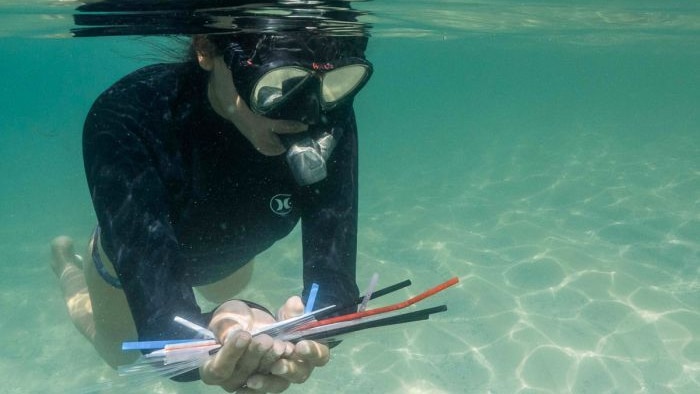 A diver is under water holding plastic straws they collected