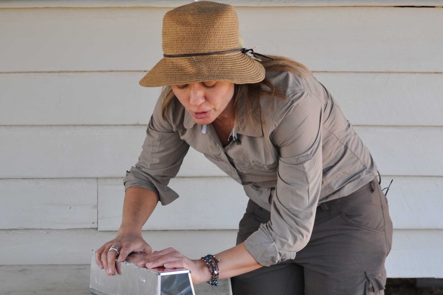 Dr Alison Howes shows the students how to set and check a fauna trap