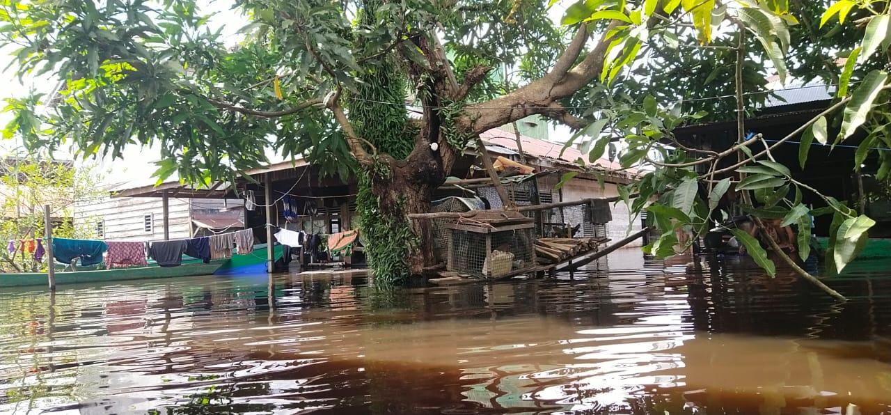 Banjir Katingan 3