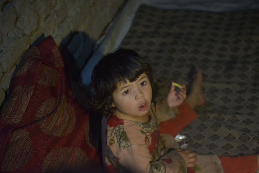 A beautiful child has sun on her face while eating bread