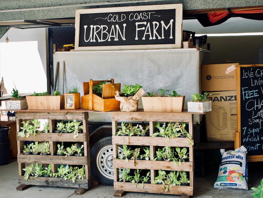 A sign that says Gold Coast urban farm sits on top of a display of pot plants