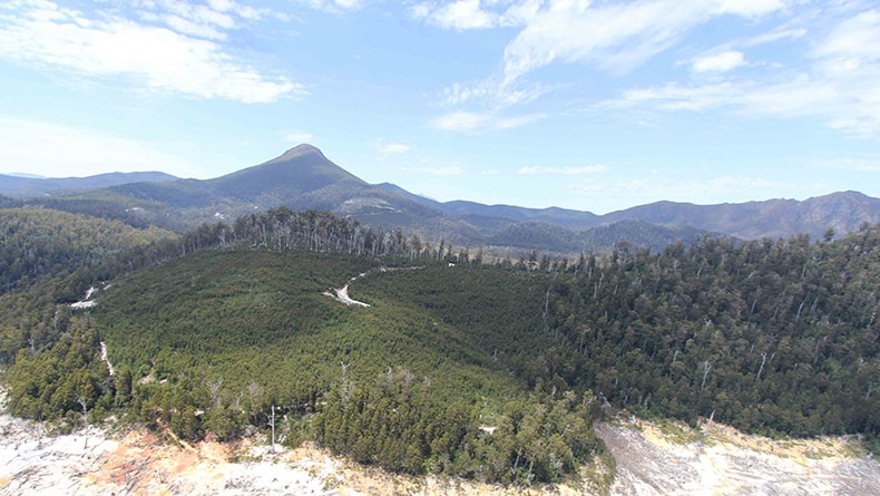 Recently harvested special species contingency coupe inside heritage-listed extension area in Tasmania.