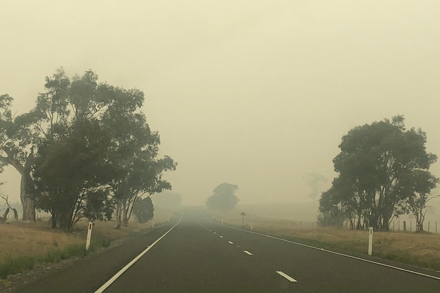 Perspective from the front seat of a car shows smoke has dramatically reduced visibility along a stretch of highway in Omeo.