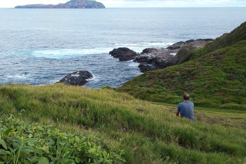 A man sits on a grassy hill, looking out at the ocean.