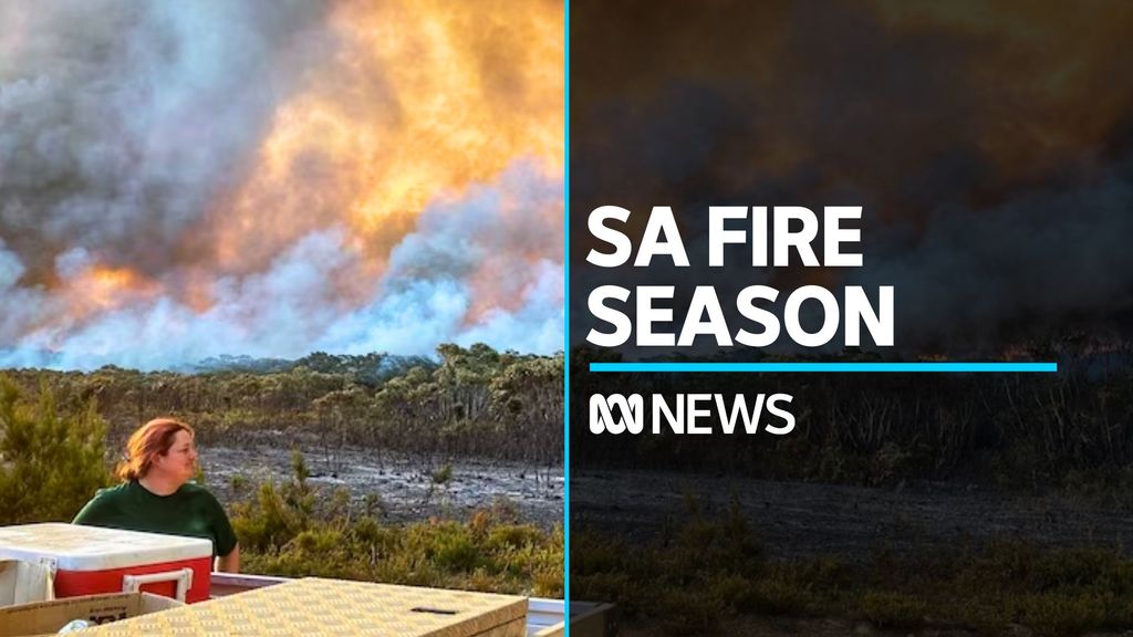 South Australians urged to prepare for tough bushfire season - ABC News