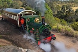 A green steam train and brown carriage moving through green hills 