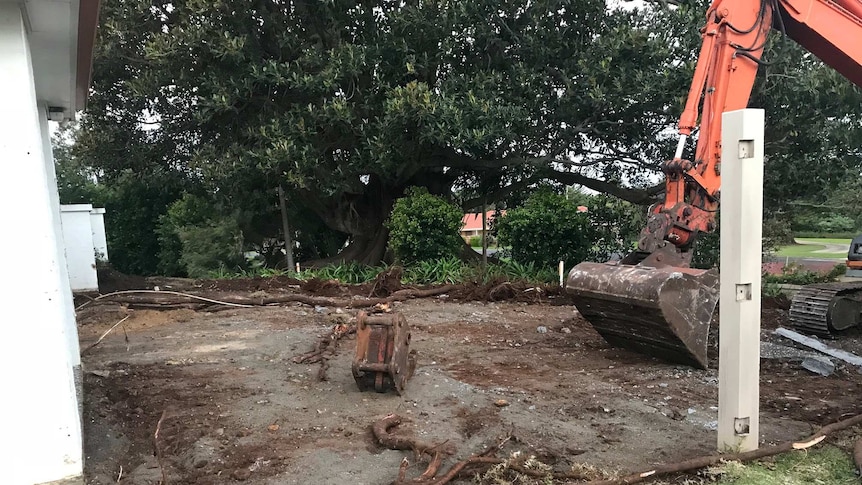Fig tree roots at Lennox Head home evident after driveway dug up