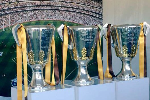 Three cups on display at Glenferrie Oval