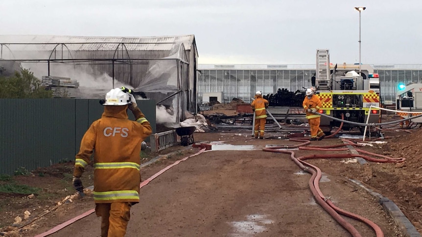 CFS crews at a fire at Waterloo Corner.