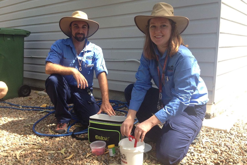 A man and woman wearing blue shirts, brown pants, boots and hats, prepare to release bacteria-infected mosquitoes in a backyard.