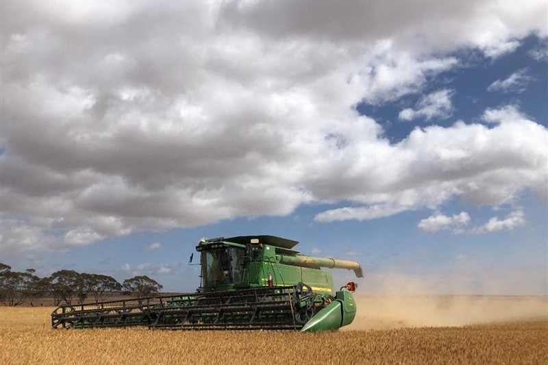 Wheat being harvested beneath a cloudy sky.