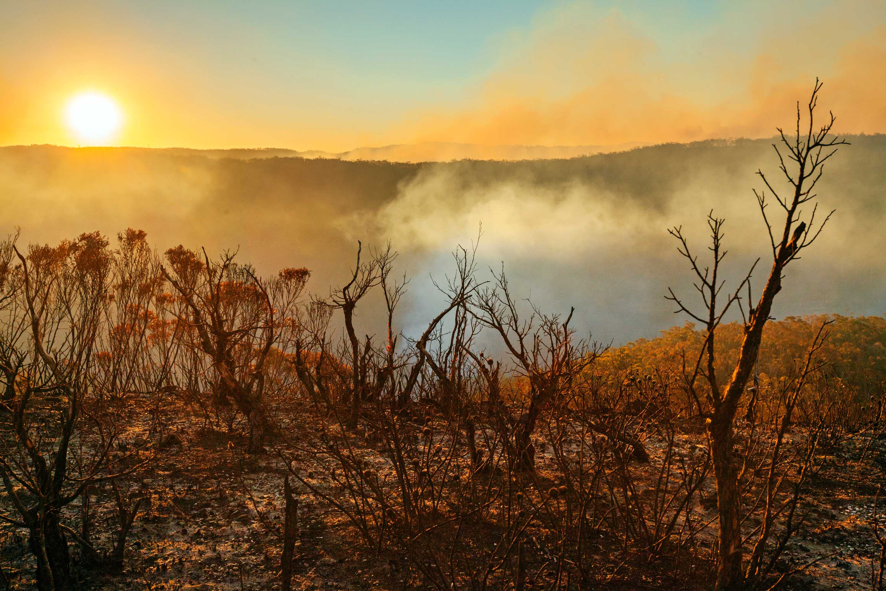 Does climate change challenge our concept of moral responsibility?