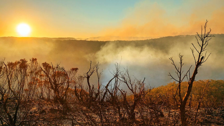 Australian bushfires