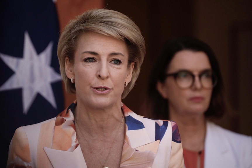 Michaelia Cash speaks in front of an Australian flag. Anne Ruston is behind her