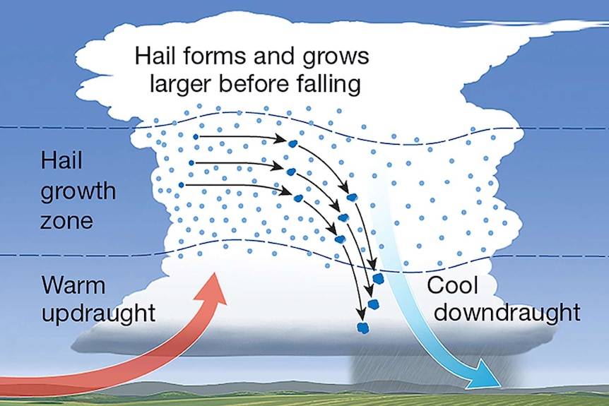 A diagram of clouds showing how hail is formed.