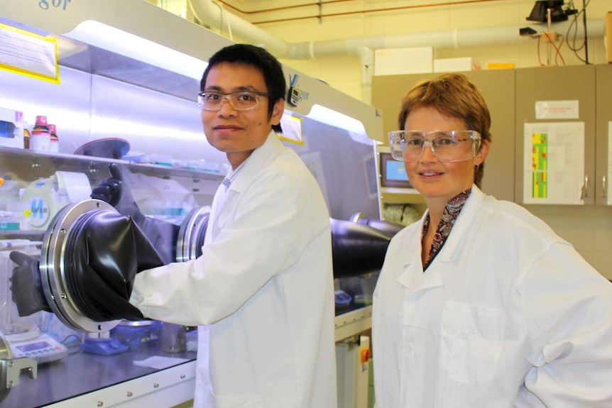 ANU solar cell researchers PhD student The Duong and Professor Kylie Catchpole.