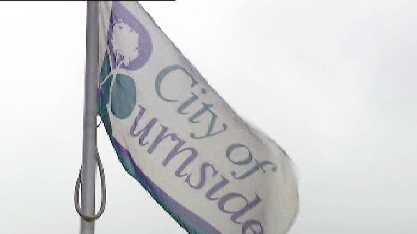 Burnside council flag