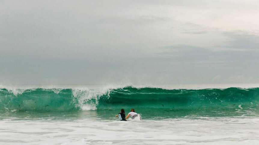 Forster local Jada McNeil's shark encounter