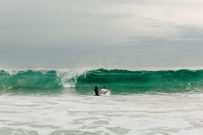 Forster local Jada McNeil's shark encounter