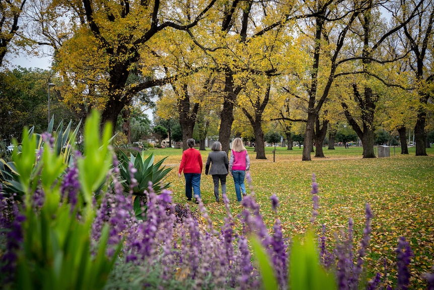 Palliative care nurses walk together in a park.
