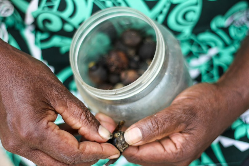 A woman's hands pictured as she cracks open a small nut.