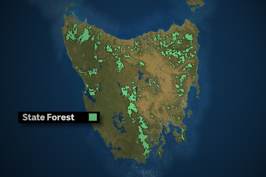 Tasmania PTPZ forestry land map