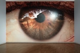 Gallery space showing large photographic work of an eye, with a bungalow reflected in the iris and pupil.
