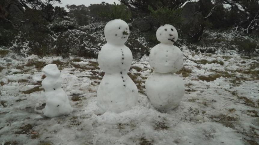 Perisher snowmen