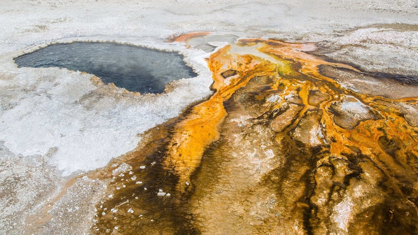 Ear Spring geyser in Yellowstone National Park