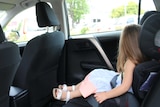 Young child sits in a car