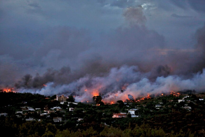 A wildfire rages in the town of Rafina